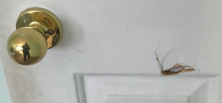 interior door hole repair Woodlake